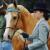 PalominoLove789