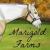 Marigold Farms