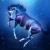 TiltedKStables