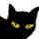 BarnCat