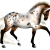 SilverFern