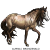 HobbyHorseFarms