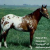 EasternShowBarn