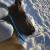 WarmbloodStables