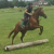 HorseCrazyByNature