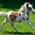 ColoredPoniesStables