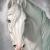 Silent Wolf Stables