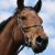 PCEventing