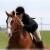 AppleRunStables