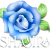 Shamira