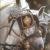 luvhorses4